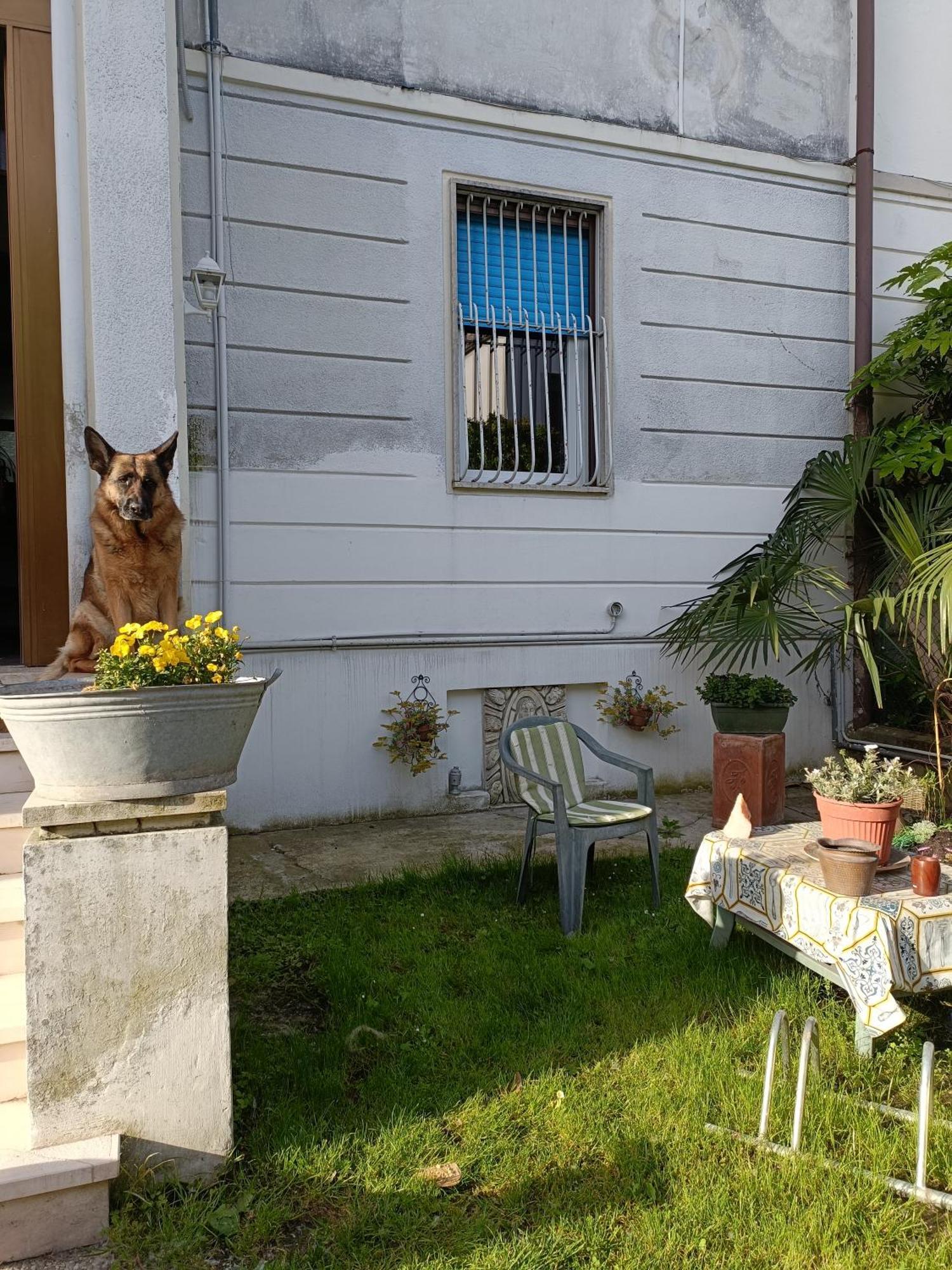 Chez Mavipagi B&B เวโรนา ภายนอก รูปภาพ